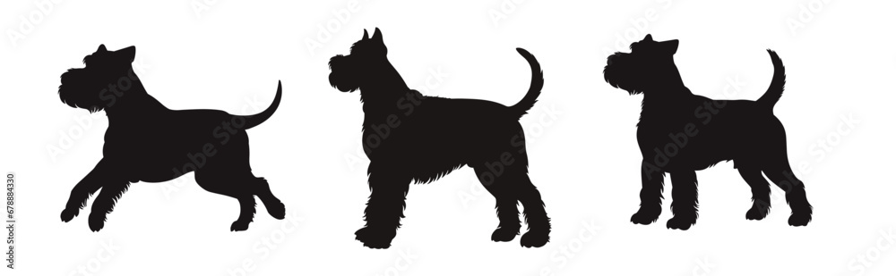 Set of  schnauzer silhouette, dog silhouette - vector illustration