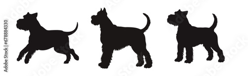 Set of  schnauzer silhouette, dog silhouette - vector illustration photo