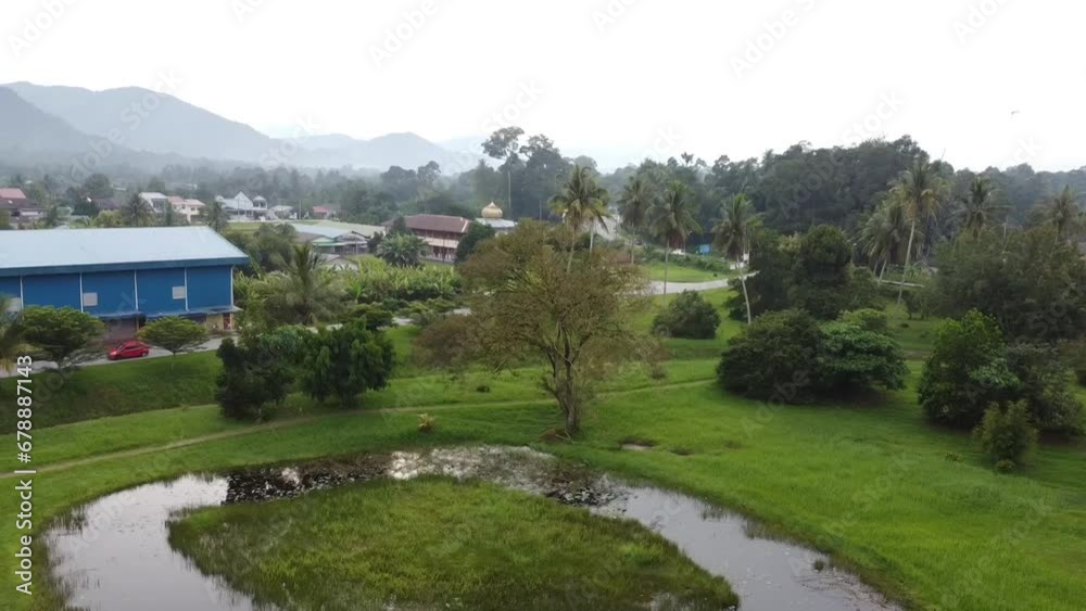 Aerial of a tree next to a pond surrounded by green grass.