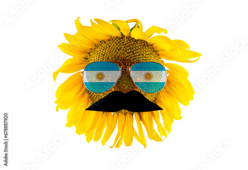 Sunflower with a mustache and glasses in the form of the Argentina flag (close-up) on a transparent background. The largest producer of vegetable oil