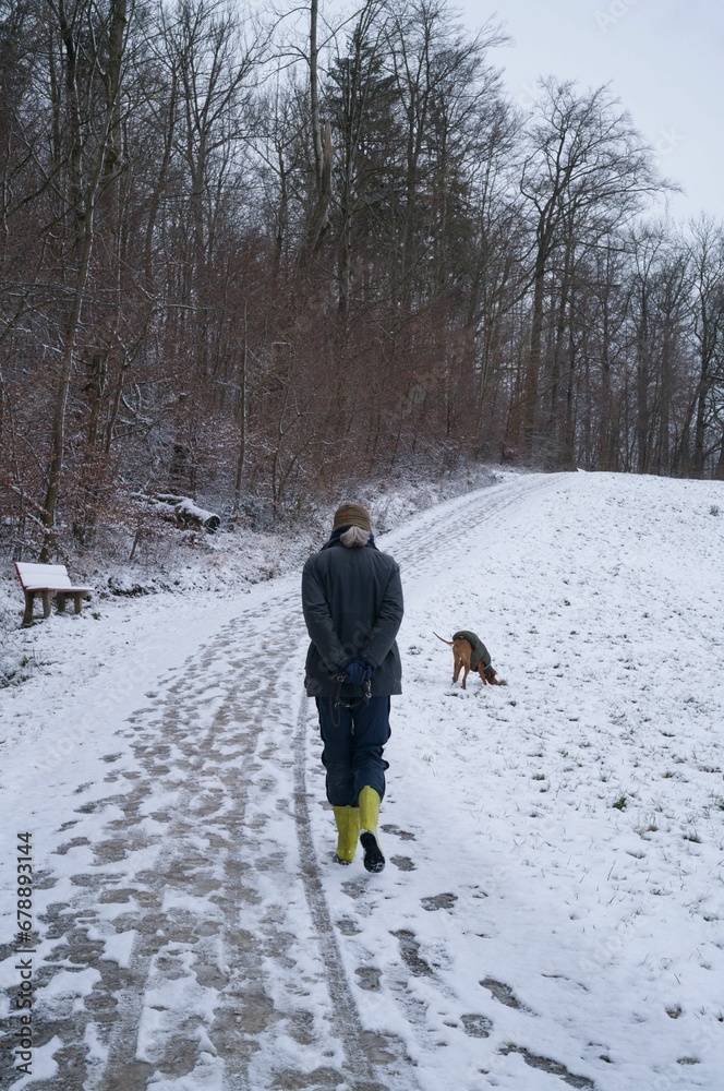 Vertical of a female in a coat walking her dog along the woods in winter