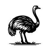 Ostrich Vector Logo Art