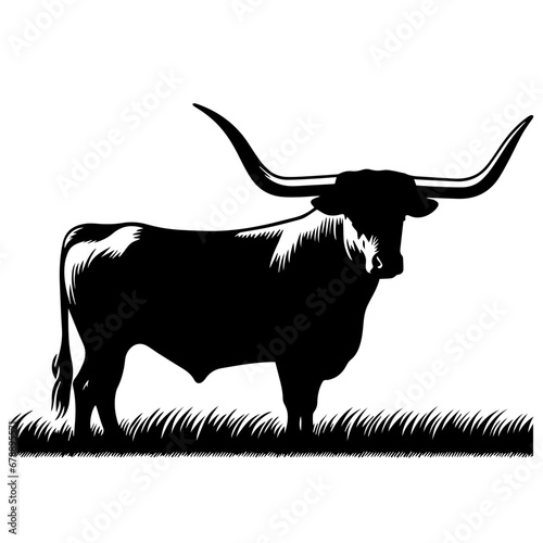 Texas Longhorn Vector Logo Art photo