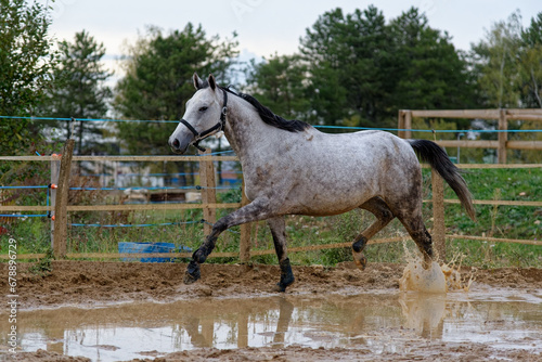 Delaware Girl © 55_greg