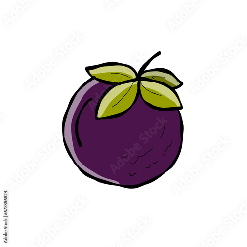 Mangosteen fruit Isolated on white