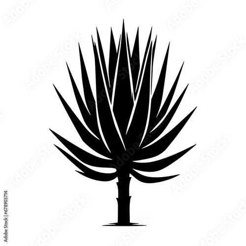 Agave Plant Vector Logo Art photo
