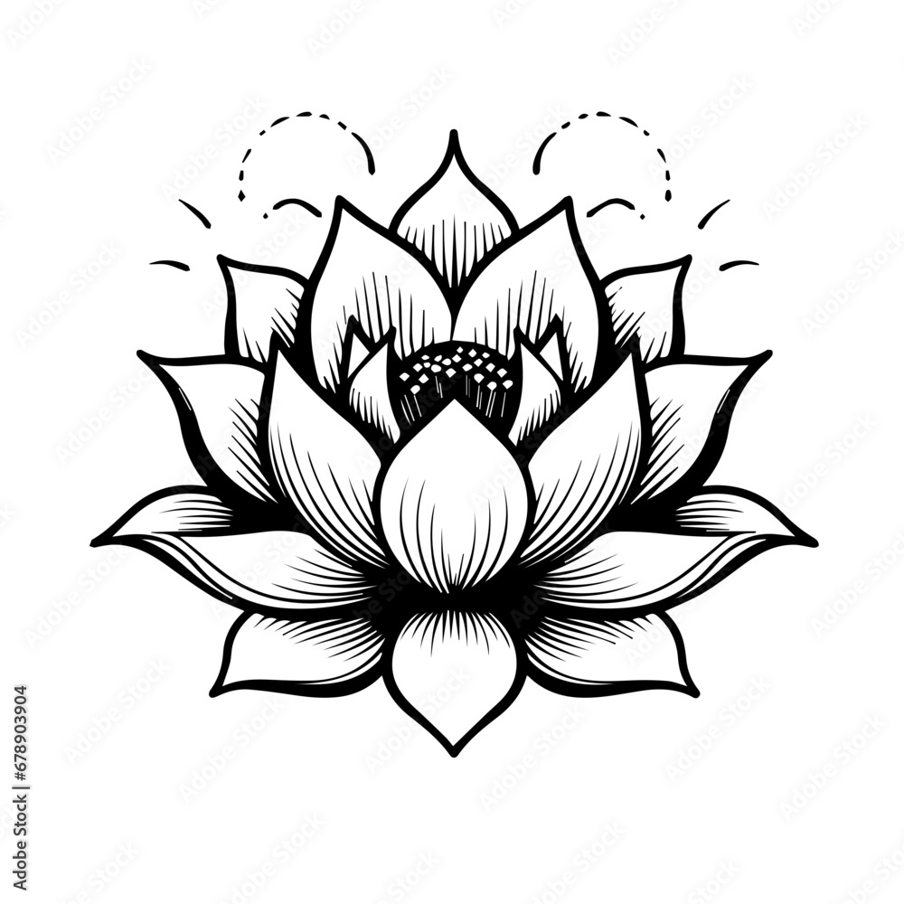 Lotus Flower Vector