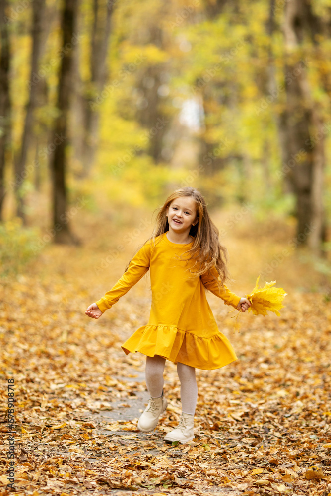 Fashion little girl walking in autumn forest. Cute little girl in a yellow dress walks in a beautiful autumn park, stands on the background of bright colorful foliage. Fashion little girl walking in autumn forest. Cute little girl in a yellow dress walks in a beautiful autumn park, stands on the background of bright colorful foliage.