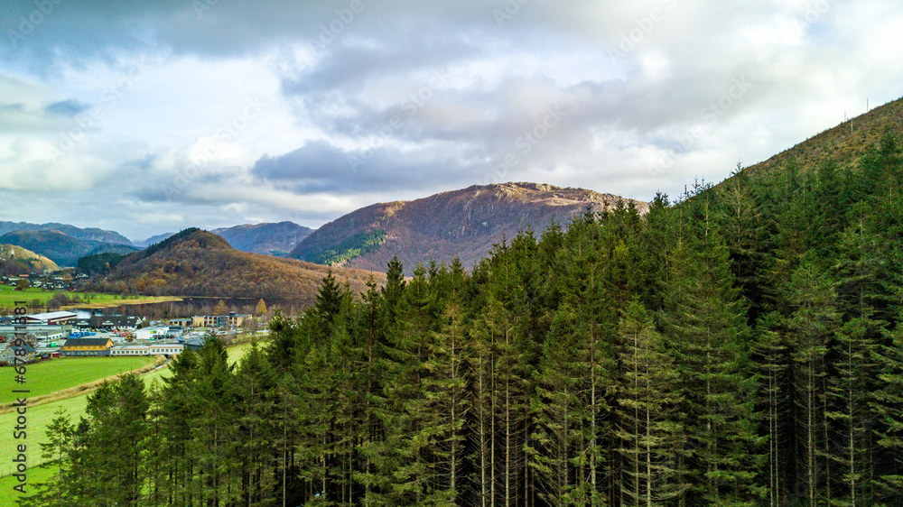 Forest in the mountains landscape