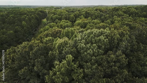 Slow motion aerial view of trees Near Saxapahaaw, Alamance County, North Carolina. photo