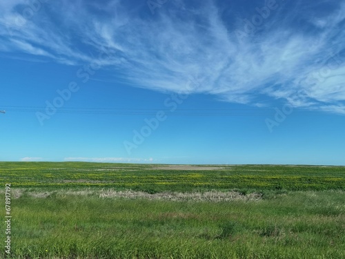 Beautiful grass field stretching to the horizon under the blue sky