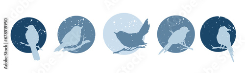 Photography Set of round winter icons of birds on branches and falling snow