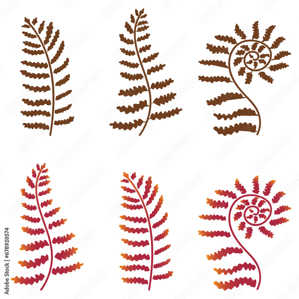 Set of fern leaves. Vector illustration isolated on white background. Set of fern leaves. Vector illustration isolated on white background.