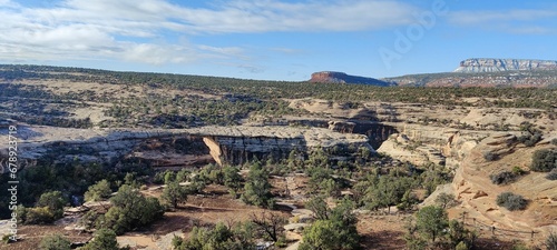 Panoramic view of a canyon covered with green trees and shrubs on a sunny day