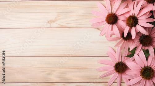 Coneflowers  Echinacea  on Wooden Background  Beautiful Flowers   Summer Floral  Copy Space. Generative AI