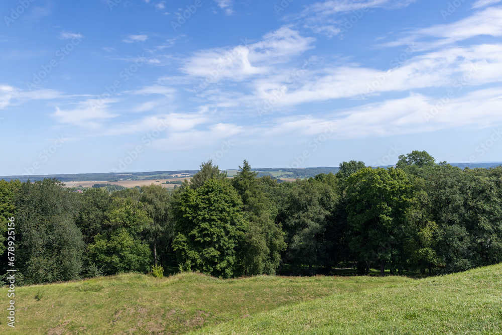 a large number of different deciduous trees in the summer a large number of different deciduous trees in the summer