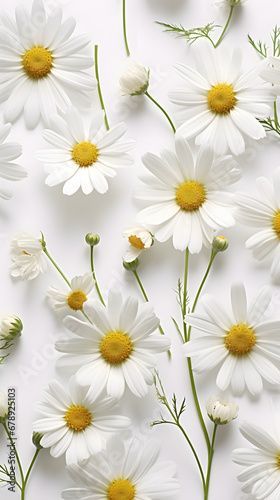 Bright chamomile daisy flower bud and stems pattern on white background. Aesthetic summer flower texture background © Prasanth