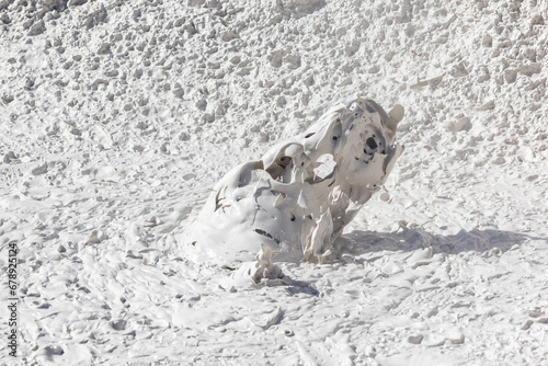 Bubbling mud in the mudpots at Artists Paintpots in Yellowstone National Park photo
