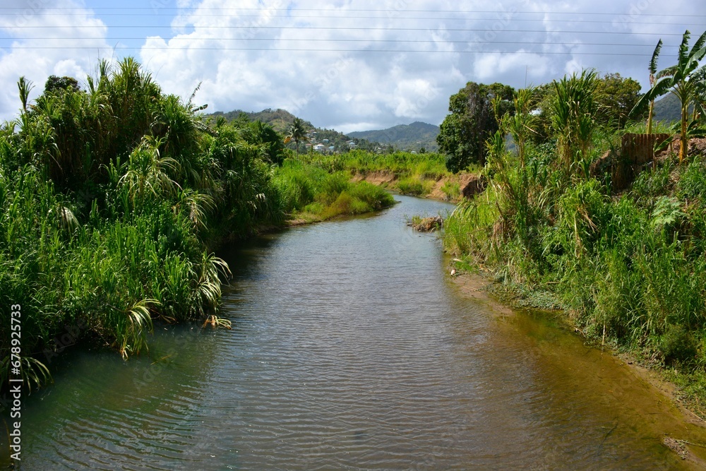 View of calm river water surrounded by green vegetation