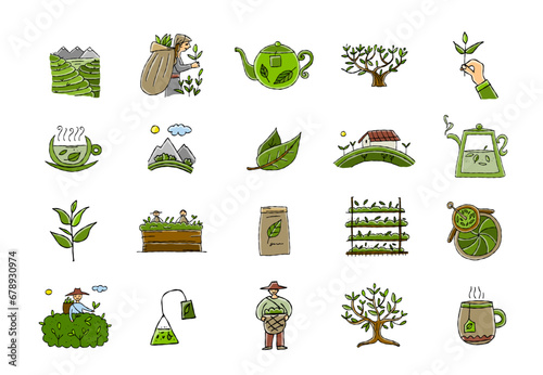 Tea factory - Drink Production Collection. Growth Of Tea On Plantation And Harvesting, Cultivation And Sorting, Flavoring And Packaging. Icons set for your design