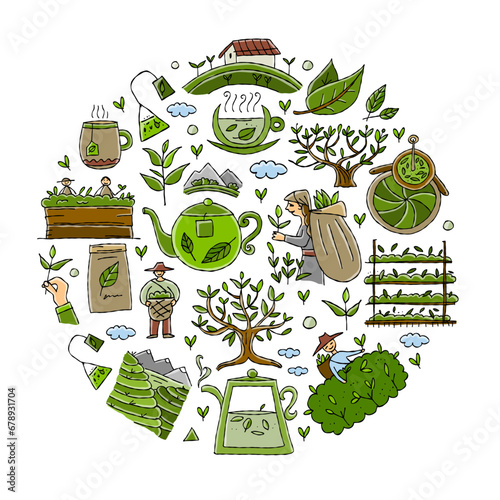 Tea factory - Drink Production Collection. Growth Of Tea On Plantation And Harvesting, Cultivation And Sorting, Flavoring And Packaging
