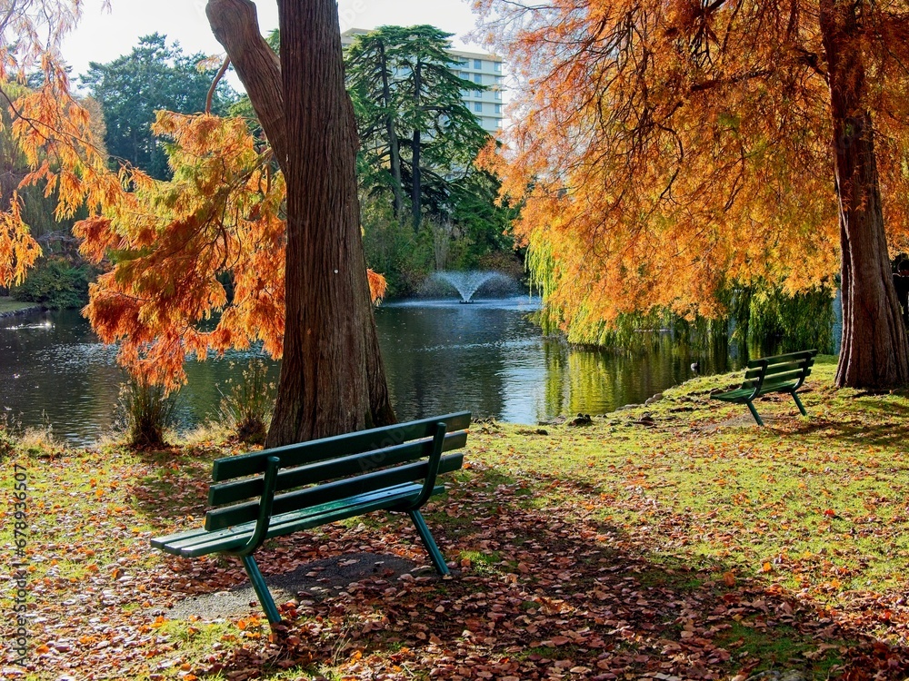 Autumn foliage and comfortable benches in the Beacon Hill Park, Victoria BC