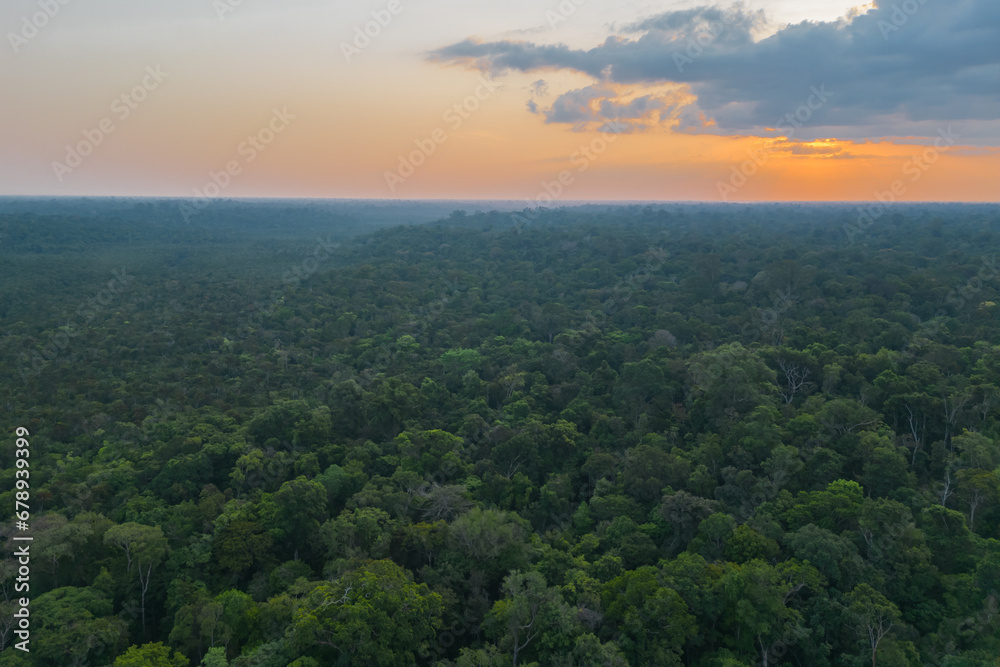 Aerial view of an area of untouched brazilian Amazon rainforest captured by drone at the sunset