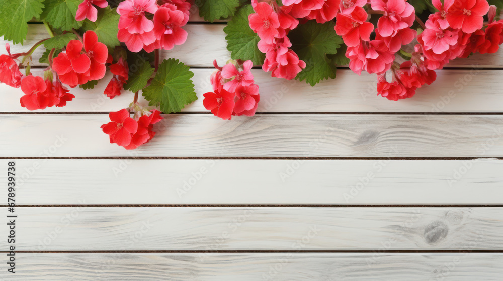 Fototapeta premium Geraniums on Wooden Background, Beautiful Flowers, Summer Floral, Copy Space. Generative AI