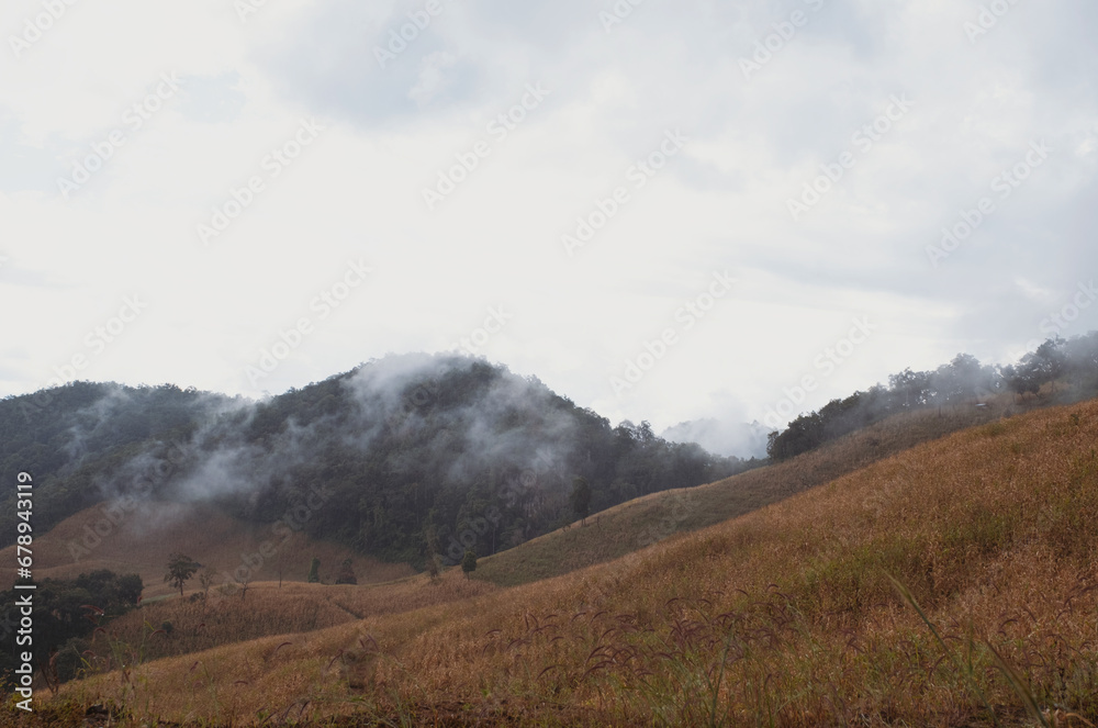 landscape in the morning