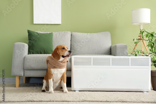 Cute Beagle dog with scarf near radiator at home