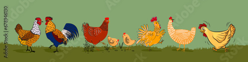 Cartoon chicken hen rooster character icon poultry farm animal collection vector illustration.