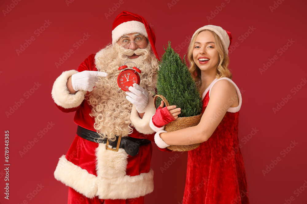 People dressed as Santa Claus with Cypress tree pointing at alarm clock on red background People dressed as Santa Claus with Cypress tree pointing at alarm clock on red background