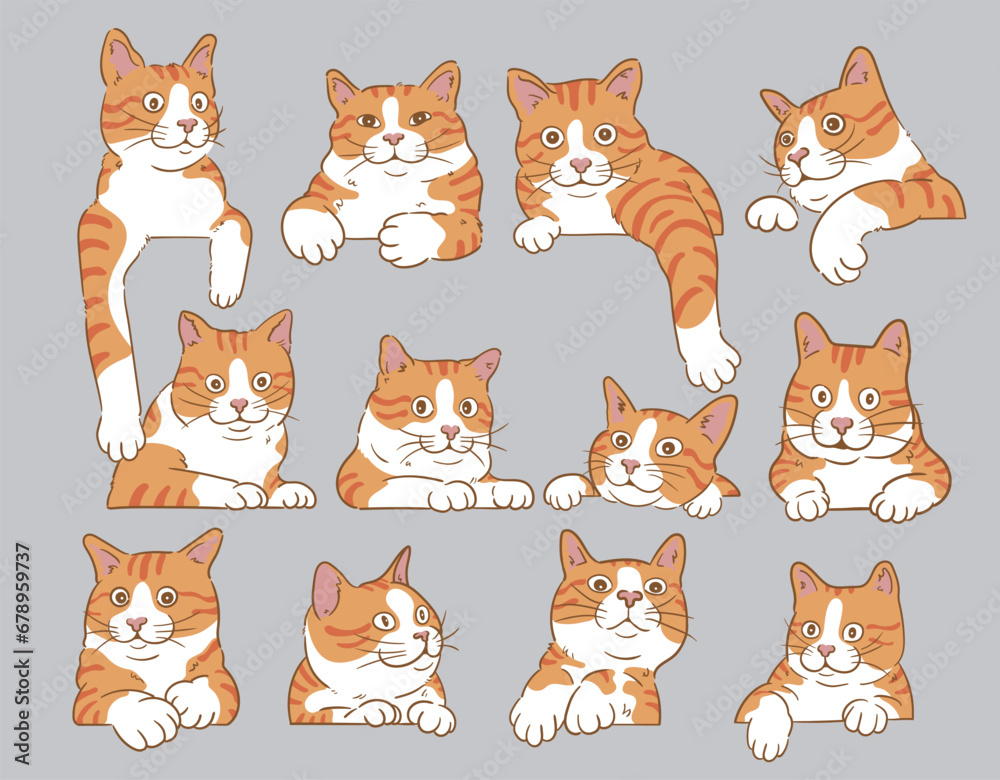 cartoon curious peeking Orange cats, vector illustrations isolated