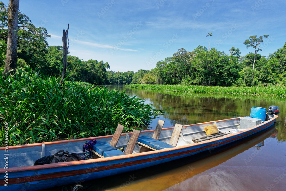 Fototapeta premium Transport by river canoe in the Amazonian rainforest