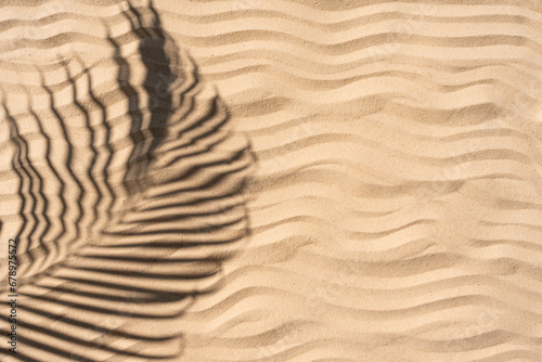 Palm shadow on ripples in the sand