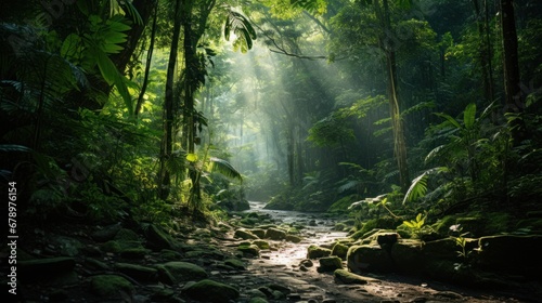 Lush green forest  tropical rainforest  tranquil scene  mysterious