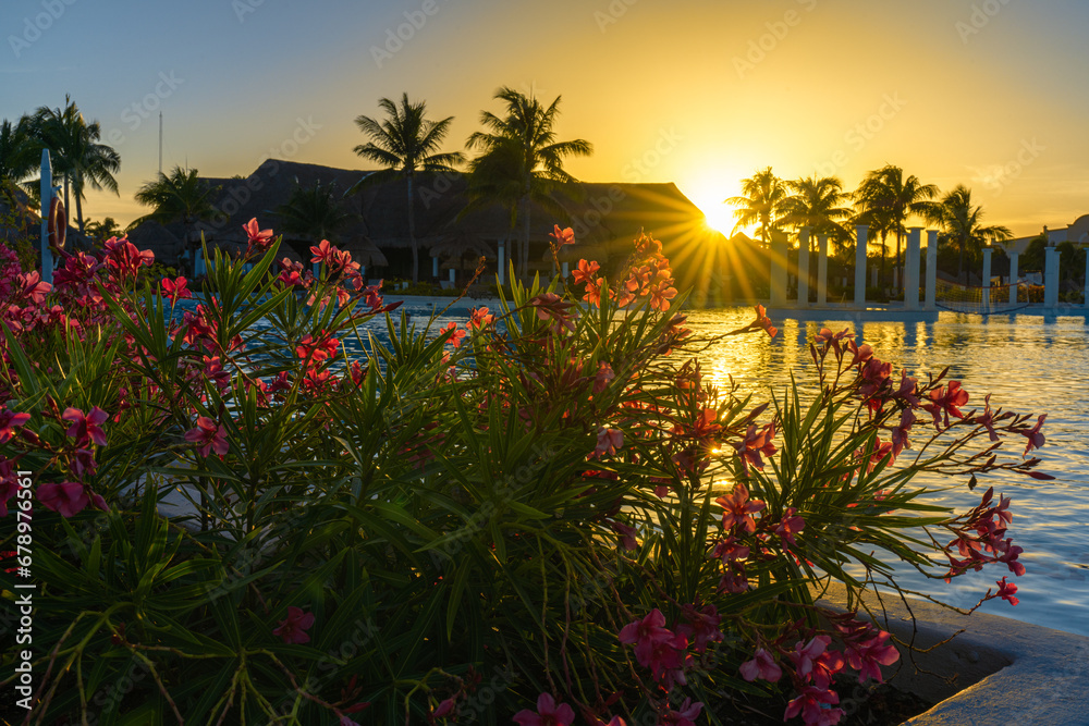 Sunshine next to an idyllic pool with pink flowers