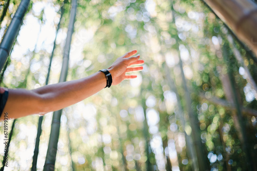 hand of person in bamboo forest reaching for the sky 