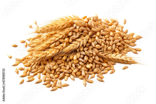 Golden Harvest: Barley Grains Isolated on Transparent Background