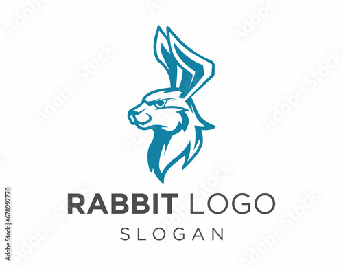 Logo about Rabbit created using the CorelDraw application. on a white background.