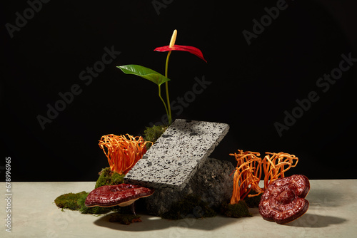 Take advertising photos for product with herbal ingredient. On the black background, ganoderma mushroom and fresh cordyceps decorated with stone, moss, leaves and red flower. Creative concept