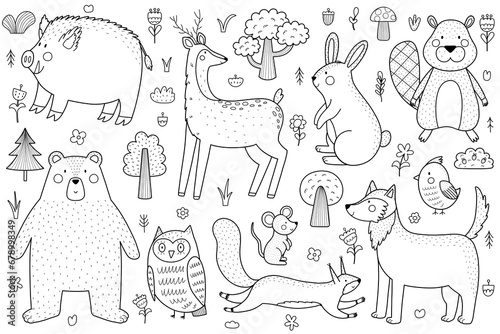 Fototapeta Naklejka Na Ścianę i Meble -  Cute forest animals black and white set. Woodland characters collection in outline for kids and baby design. Great for coloring page. Vector illustration