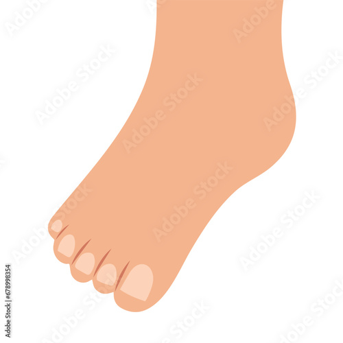 Human foot isolated on white background. Leg vector illustration in cartoon style. Learning body parts for kids