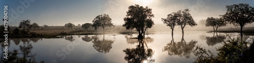 Savannah pond in the morning fog in Kruger National Park, South Africa photo