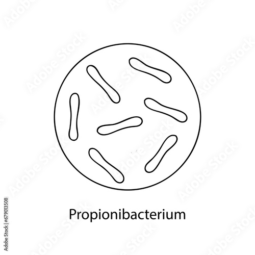 Pathogenic bacteria. Bacterial microorganism. Microbiology, infographics. hand drawn doodle style.