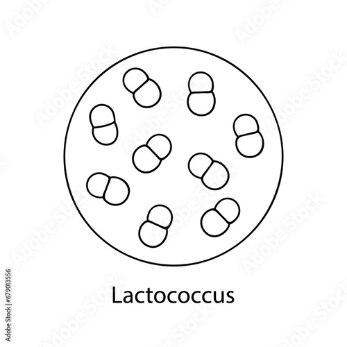 Pathogenic bacteria. Bacterial microorganism. Microbiology, infographics. hand drawn doodle style.