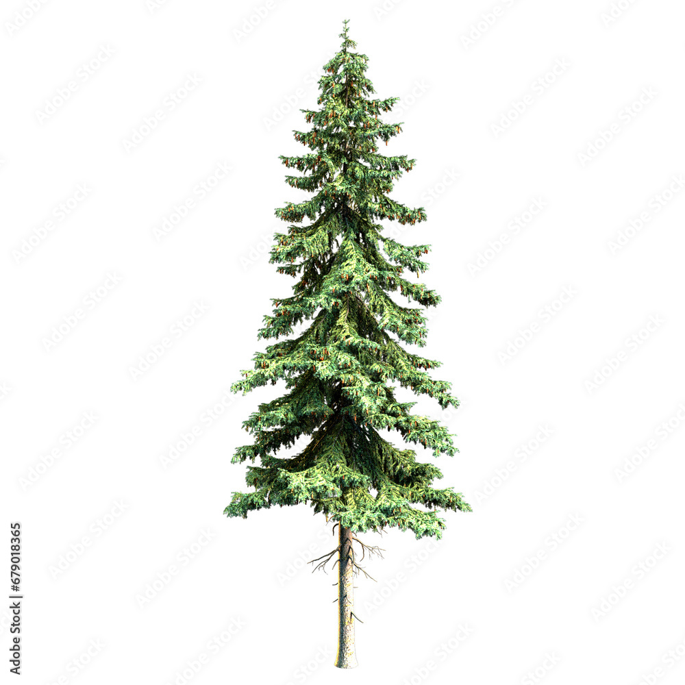 Green pine tree for Christmas and New Year celebrations. 3D rendering results of high quality images.