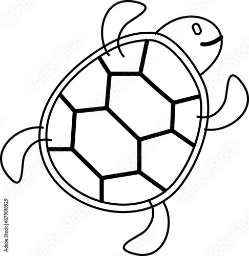 turtle tortoise 