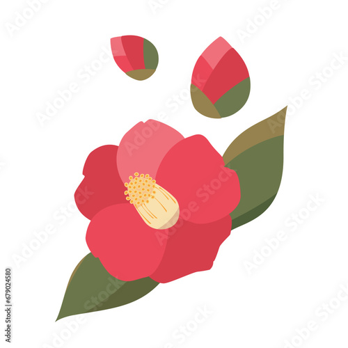 椿の花とつぼみのイラスト　フラットデザイン