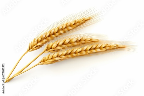 An ear of wheat isolated on white background